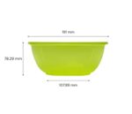 Screenshot_24-2-2026_105832_lollicupstore.com