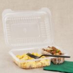 [250 ct] 9" x 6" 2-Compartment Hinged Food Containers | Clear | PP