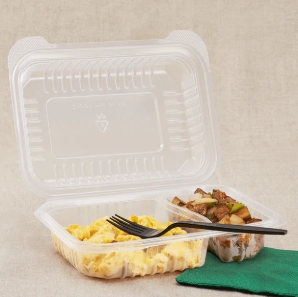 [250 ct] 9" x 6" 2-Compartment Hinged Food Containers | Clear | PP
